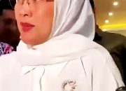 Upaya Hukum Tia Rahmania Buntut Batal Melenggang Ke Gedung Kura Kura