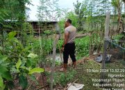 Polres Sragen Mulai Datakan Lahan Produktif Sebagai Lahan Ketahanan Pangan di Wilayah Plupuh, Ini Penjelasannya