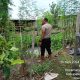 Polres Sragen Mulai Datakan Lahan Produktif Sebagai Lahan Ketahanan Pangan di Wilayah Plupuh, Ini Penjelasannya