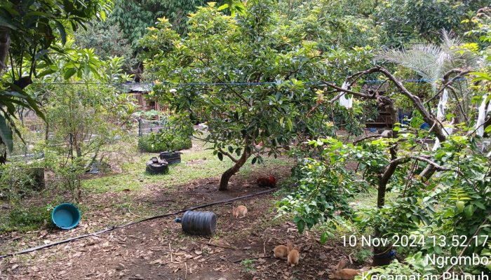 Polres Sragen Mulai Datakan Lahan Produktif Sebagai Lahan Ketahanan Pangan di Wilayah Plupuh, Ini Penjelasannya 2