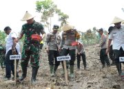 Kapolres Nganjuk dan Forkopimda Tanam Benih Jagung untuk Dukung Ketahanan Pangan Nasional