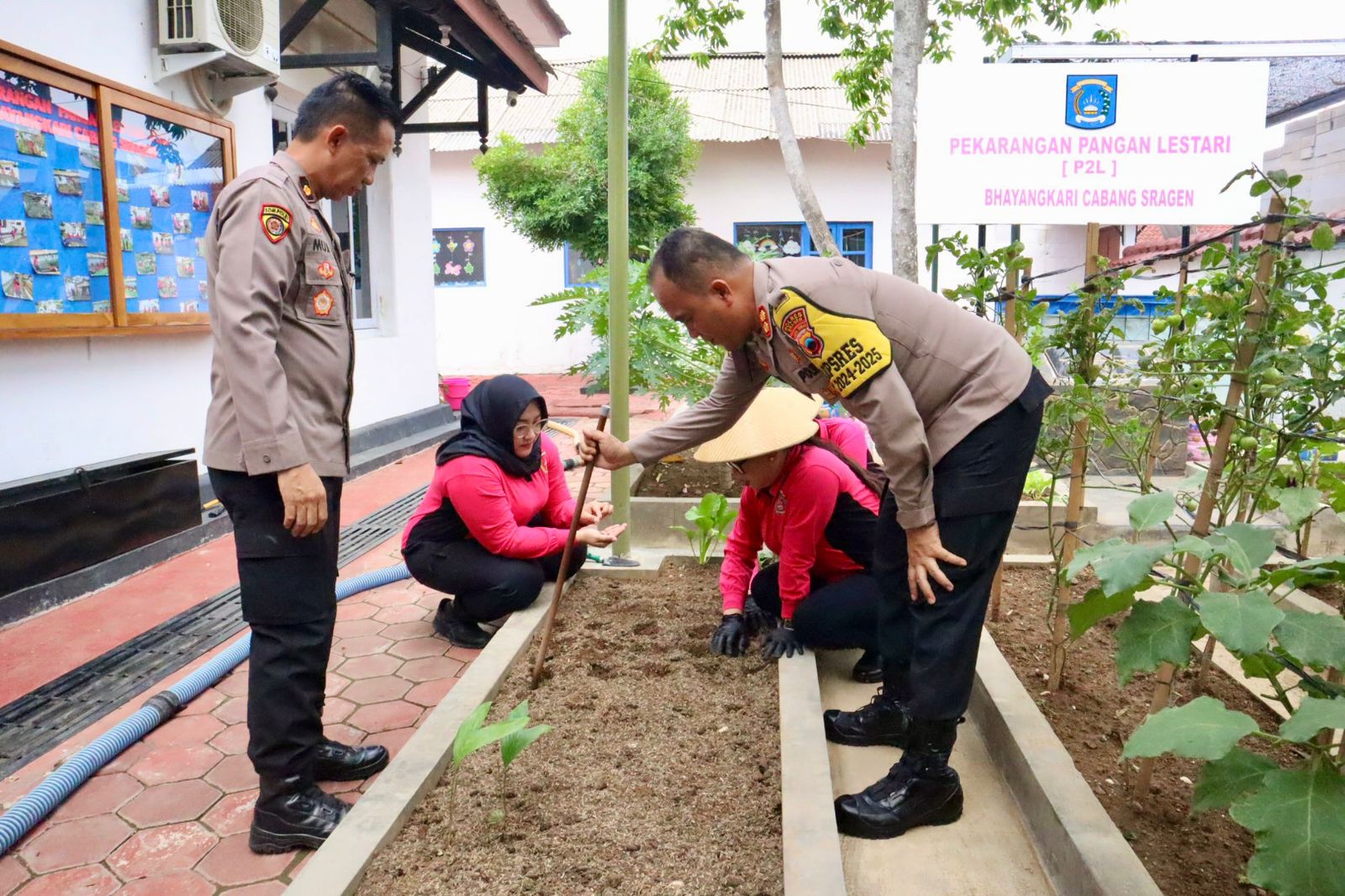 Optimalkan Swasembada Pangan, Kapolres Sragen Bersama Bhayangkari Kelola Lahan P2L