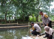 Tebar Ribuan Benik Ikan Kapolres Demak Dukung Program Asta Cita Presiden