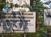 Ketua DPW BAIN HAM RI Lampung : Milliaran Rupiah Uang Rakyat Setiap Tahun Untuk Kegiatan Dinas PMK, Kinerjanya Menjadi Sorotan Publik