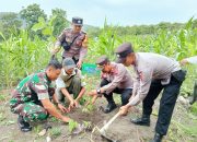 Lestarikan Alam, Koramil Gabus bersama Perhutani dan Forkopimcam Tanam Ratusan Pohon