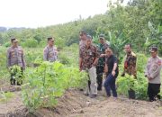 Kapolres Sragen Cek Lahan Jagung Siapkan Program Penanaman Serentak Satu Juta Hektar di Kecamatan Miri