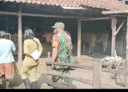 Polres Nganjuk Apresiasi Sinergi dalam Penanganan PMK di Desa Senggowar