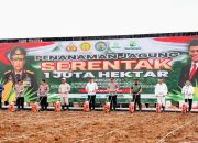 Gerakan 1 Juta Hektare Jagung: Sinergi Polri dan Kementrian Pertanian Wujudkan Swasembada Pangan 2025