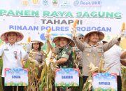 Wujudkan Asta Cita Presiden , Polres Grobogan Panen Jagung Tahap Kedua 1.918 Ton