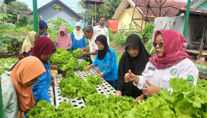 Ika Suhermawati,SE bersama Lansia Griya Lansia Sukabumi (Foto Istimewa)