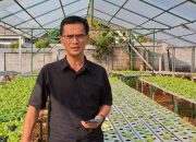 H.Ade Irwan Kepala UPTD Griya Lansia Sukabumi : Hidroponik Penuhi Kebutuhan Nutrisi Lansia Atau Bahkan Dipasarkan