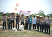 Mapolres Purworejo Laksanakan Panen Raya Jagung Wujudnyata Dukungan TNI-Polri