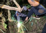 Tengkorak Manusia Gegerkan Warga Cepogo Jepara, Polisi Gerak Cepat Tindaklanjuti Aduan Warga Lewat Call Center 110 Polri