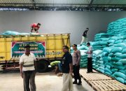Jamin Keamanan Pangan Daerah, Polisi Kawal Ketat Puluhan Ton Jagung Petani