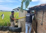 Kasus Meninggalnya Warga Gamong, Kaliwungu, Kudus, Akibat Tersengat Listrik, Polisi Naikan Statusnya Ke Tahap Penyidikan