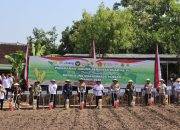 Wakapolda Jateng Tanam Serentak di Lahan 2,7 Hektar Sragen, 3 Ton Jagung Dilepas untuk Bulog