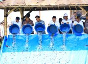 Wapres Gibran Tebar 80 Ribu Bibit Ikan Nila di Banten: Dorong Ketahanan Pangan dan Ekonomi Rakyat