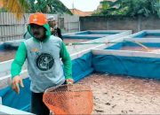 Manfaatkan Lahan Pekarangan, Aiptu Yustar Khamidi Sukses Budidaya Ikan Lele