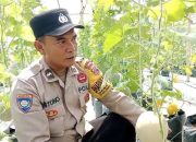 Dari Tanah Kosong Jadi Ladang Harapan: Ketulusan Aipda Mistono Berbuah Inspirasi