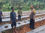 Bhabinkamtibmas Polsek Rumpin Polres Bogor Sambang Warga, Sampaikan Himbauan Kamtibmas Saat Monitoring Kelompok Tani
