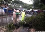 Bencana Puting Beliung Landa 3 Kecamatan di Sragen, Evakuasi Tim Gabungan Bersama Polisi Berlangsung Dramatis