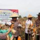 Kapolres Sragen Pimpin Panen Raya Jagung Kuartal III di Somomorodukuh Plupuh, Dari Lahan 3 Hektare Hasilkan Hingga 15 Ton