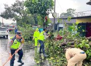 Respons Cepat PAMAPTA Polres Boyolali Saat Pohon Tumbang Timpa Mobil di Jalan Boyolali–Klaten