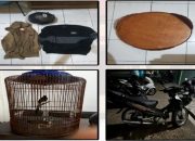Polisi Ungkap Hilangnya Burung Murai di Karangmalang, Dua Pelaku Diamankan Tim Resmob, Satu Diantaranya Masih Anak