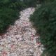 Indra Jaya Anggota REPDEM Depok Soroti Tumpukan Sampah di Kali Baru Citayam