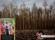 Papua disebut pegiat lingkungan sebagai hutan terakhir di Indonesia, karena hutan di pulau telah lebih dulu diramah berbagai industri. Ini adalah foto hutan di Timika, Papua, yang hangus terbakar akibat penambangan emas tahun 2017.