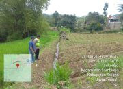 Polsek Sambirejo Turun ke Sawah, Pastikan Jagung Warga Tumbuh Optimal Dukung Swasembada Pangan