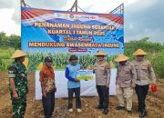 Dukung Ketahanan Pangan Nasional, Polres Wonogiri Tanam Jagung Serentak Bersama Forkopimda