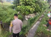 Mobil Terjun ke Jurang di Sidoharjo Wonogiri, Polisi Evakuasi Pengemudi dan Penumpang