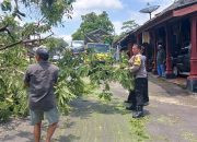 Respons Cepat Polisi Tangani Pohon Tumbang di Sidoharjo Wonogiri, Lalu Lintas Kembali Lancar