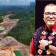 Denny Indrayana Mantan Wamenkum Soroti Dugaan Tambang Ilegal Yang Picu Kerusakan Jalan Di Banjar