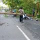 Pengendara Motor Luka-Luka Akibat Tabrak Pohon Tumbang di Nguntoronadi