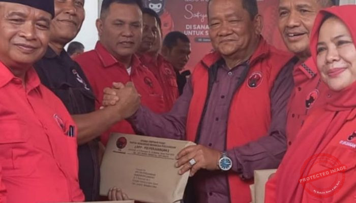 Rapidin Simbolon Serahkan 30 SK DPC, Dari 33 DPC PDIP Sumatra Utara
