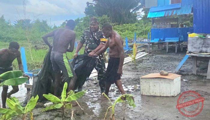Wujudkan Ketahanan Pangan, Babinterau Lanud YKU Bersama Warga lokal Panen Ikan Lele dan Budidaya Peternakan Bebek