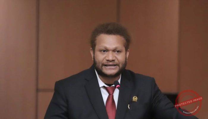 Paul Finsen Mayor, Senator Kritis Dalam Menyuarakan Aspirasi Masyarakat Adat Papua