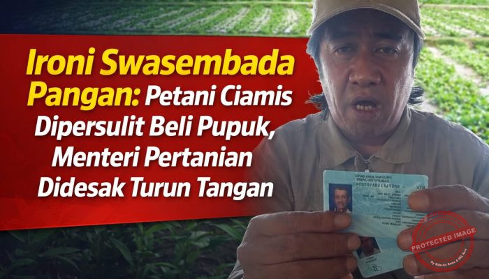 Ironi Swasembada Pangan: Petani Ciamis Dipersulit Beli Pupuk, Menteri Pertanian Didesak Turun Tangan