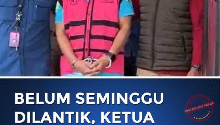 Aktivis KPKB Sesalkan Oknum Pejabat Publik Tak Bermoral, Baru Dilantik Sudah Tersandung OTT