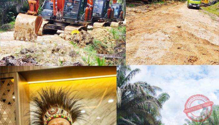 Senator PFM Desak Kapolda PBD Hentikan Operasi 49 Alat Berat Ilegal di Sorong Selatan