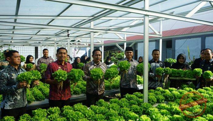 Dukung Asta Cita Presiden, Lapas Makassar Hijaukan Pembinaan Melalui Panen Selada untuk Ketahanan Pangan Nasional