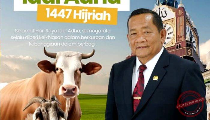 DPD PDI Perjuangan Sumut Salurkan 60 Sapi Kurban pada Idul Adha 2026