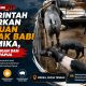 Bantuan Ternak Babi di Mimika Perkuat Ketahanan Pangan Sekaligus Jaga Kearifan Budaya Papua