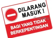 5 Fakta Borja Iglesias, Striker Spanyol yang Dilarang Masuk Hotel Karena Tidak Dikenal