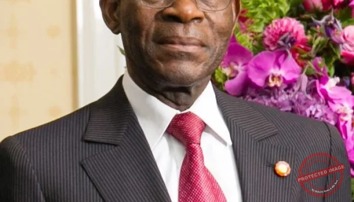 5 Fakta Menarik tentang Teodoro Obiang Nguema Mbasogo, Pemimpin Afrika yang Berkuasa 43 Tahun