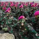 5 Fakta Pasukan Marinir 1 yang Wajib Kamu Tahu, Dari Kasus Penyiraman Air Keras hingga Operasi Trisila