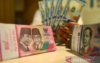 5 Juta Rupiah untuk ASN Digital: Apa yang Perlu Kamu Ketahui?