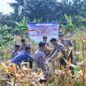 Satlantas Polres Bogor Perkuat Sinergitas dengan Pemerintah Desa dan Bhabinkamtibmas Melalui Penanaman Jagung